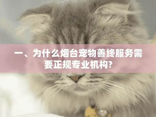 一、为什么烟台宠物善终服务需要正规专业机构?