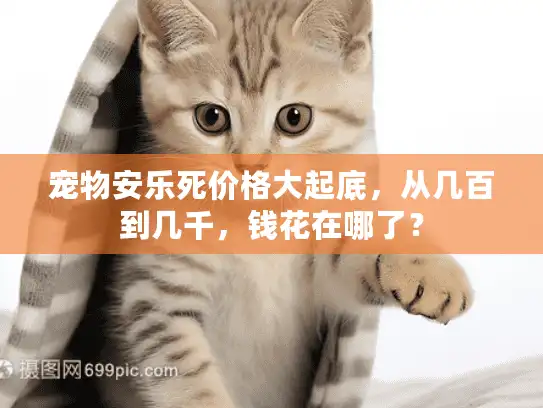 宠物安乐死价格大起底，从几百到几千，钱花在哪了？