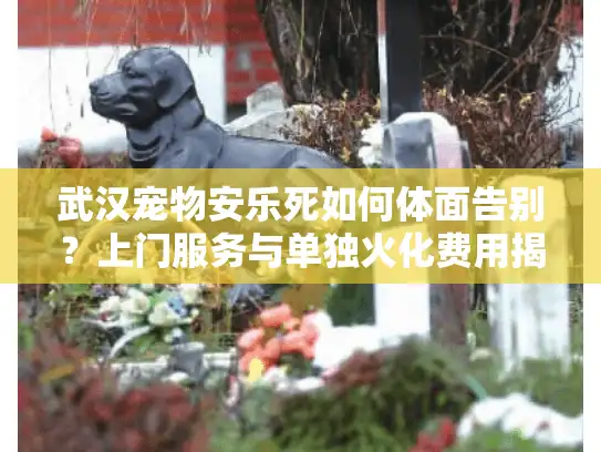 武汉宠物安乐死如何体面告别？上门服务与单独火化费用揭秘