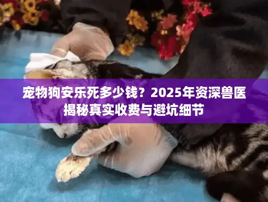 宠物狗安乐死多少钱？2025年资深兽医揭秘真实收费与避坑细节