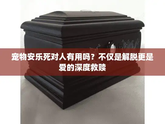 宠物安乐死对人有用吗？不仅是解脱更是爱的深度救赎