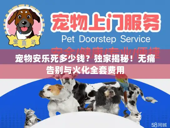 宠物安乐死多少钱？独家揭秘！无痛告别与火化全套费用