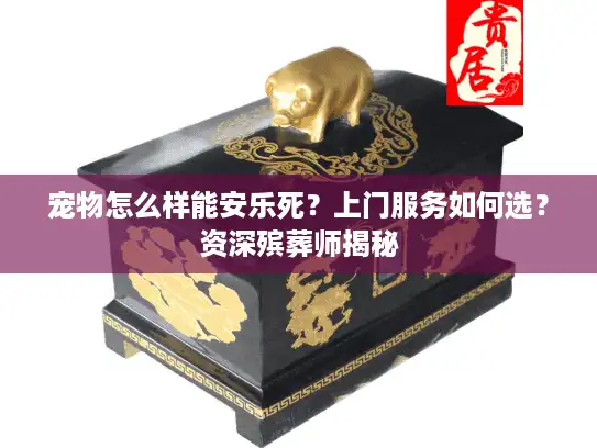 宠物怎么样能安乐死？上门服务如何选？资深殡葬师揭秘