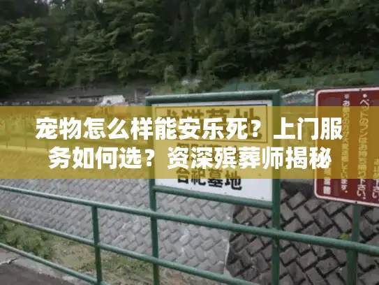 宠物怎么样能安乐死？上门服务如何选？资深殡葬师揭秘