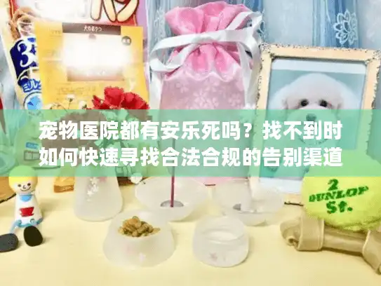 宠物医院都有安乐死吗？找不到时如何快速寻找合法合规的告别渠道