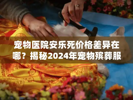 宠物医院安乐死价格差异在哪？揭秘2024年宠物殡葬服务真实收费明细