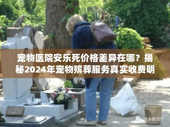 宠物医院安乐死价格差异在哪？揭秘2024年宠物殡葬服务真实收费明细