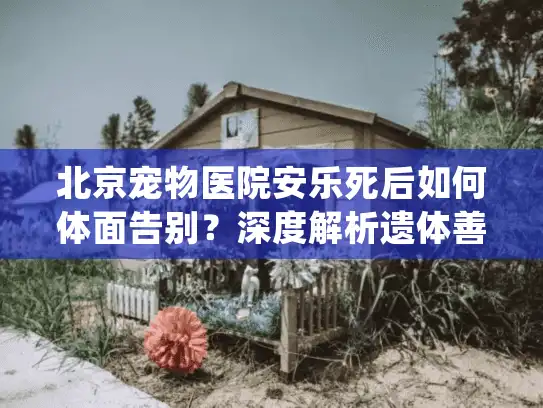 北京宠物医院安乐死后如何体面告别？深度解析遗体善后与火化避坑细节