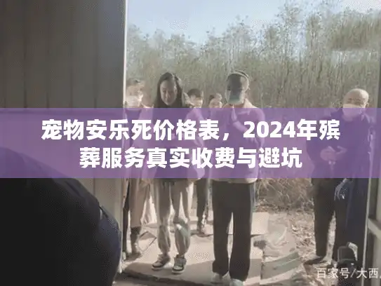 宠物安乐死价格表，2024年殡葬服务真实收费与避坑