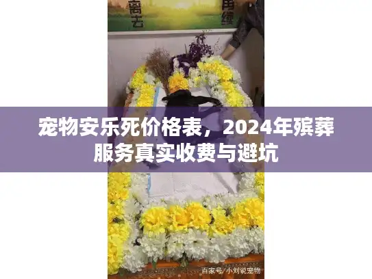 宠物安乐死价格表，2024年殡葬服务真实收费与避坑