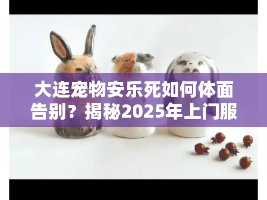 大连宠物安乐死如何体面告别？揭秘2025年上门服务与避坑门道