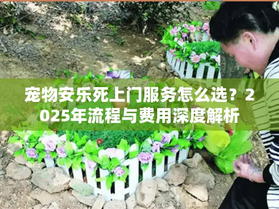 宠物安乐死上门服务怎么选？2025年流程与费用深度解析