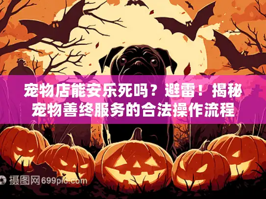 宠物店能安乐死吗？避雷！揭秘宠物善终服务的合法操作流程