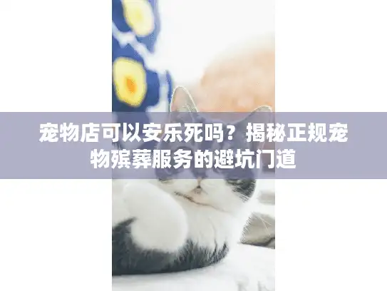 宠物店可以安乐死吗？揭秘正规宠物殡葬服务的避坑门道