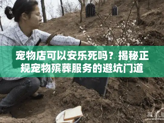 宠物店可以安乐死吗？揭秘正规宠物殡葬服务的避坑门道