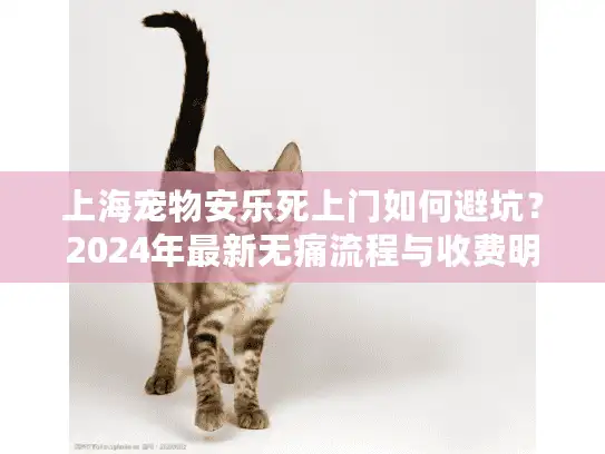 上海宠物安乐死上门如何避坑？2024年最新无痛流程与收费明细