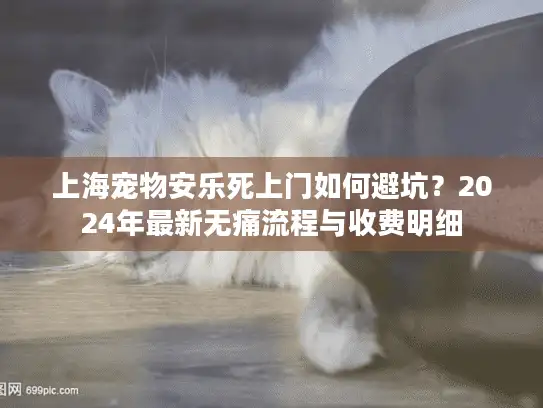 上海宠物安乐死上门如何避坑？2024年最新无痛流程与收费明细