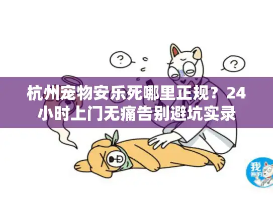 杭州宠物安乐死哪里正规？24小时上门无痛告别避坑实录