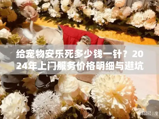 给宠物安乐死多少钱一针？2024年上门服务价格明细与避坑实况