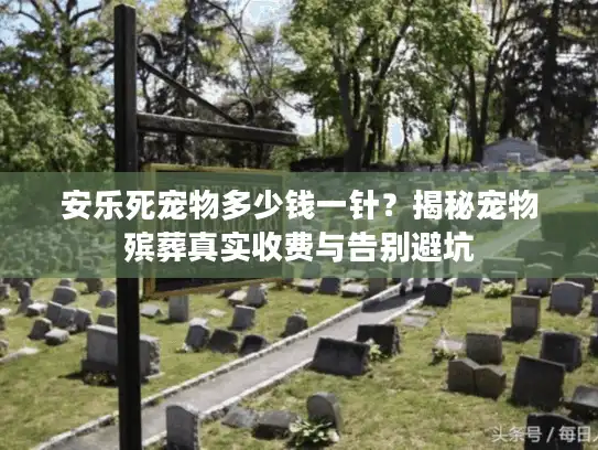 安乐死宠物多少钱一针？揭秘宠物殡葬真实收费与告别避坑