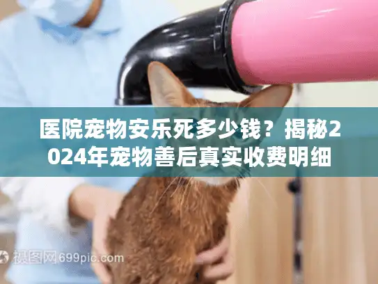 医院宠物安乐死多少钱？揭秘2024年宠物善后真实收费明细