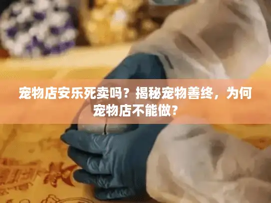 宠物店安乐死卖吗？揭秘宠物善终，为何宠物店不能做？