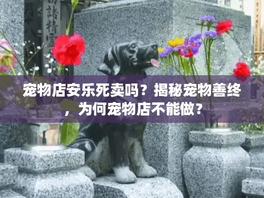 宠物店安乐死卖吗？揭秘宠物善终，为何宠物店不能做？