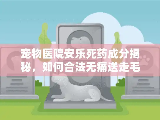 宠物医院安乐死药成分揭秘，如何合法无痛送走毛孩子？