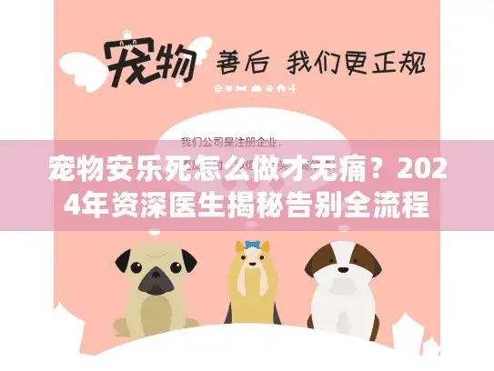 宠物安乐死怎么做才无痛？2024年资深医生揭秘告别全流程