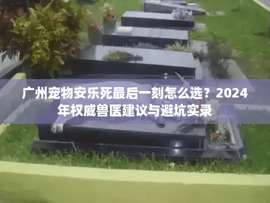 广州宠物安乐死最后一刻怎么选？2024年权威兽医建议与避坑实录