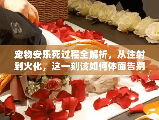 宠物安乐死过程全解析，从注射到火化，这一刻该如何体面告别