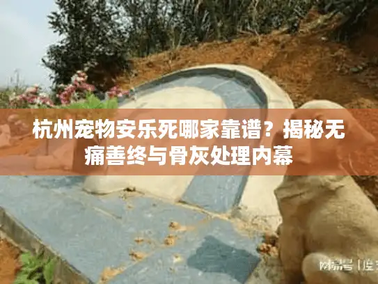杭州宠物安乐死哪家靠谱？揭秘无痛善终与骨灰处理内幕