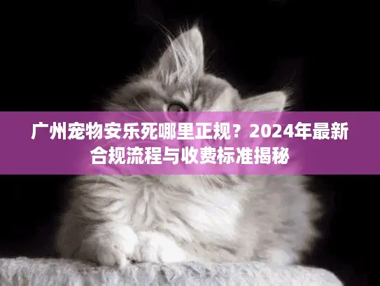 广州宠物安乐死哪里正规？2024年最新合规流程与收费标准揭秘
