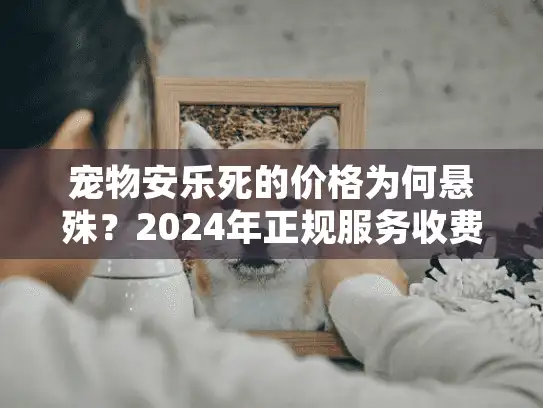 宠物安乐死的价格为何悬殊？2024年正规服务收费全揭秘