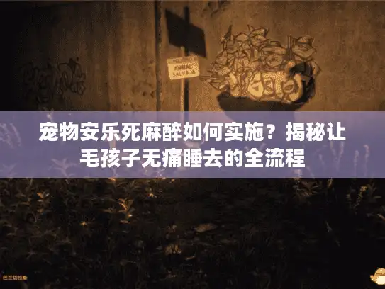 宠物安乐死麻醉如何实施？揭秘让毛孩子无痛睡去的全流程