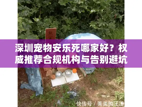 深圳宠物安乐死哪家好？权威推荐合规机构与告别避坑实录