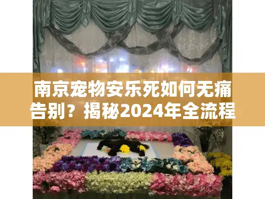 南京宠物安乐死如何无痛告别？揭秘2024年全流程与善后处理