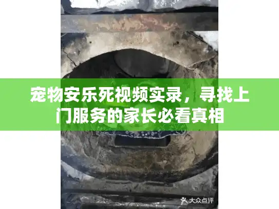 宠物安乐死视频实录，寻找上门服务的家长必看真相