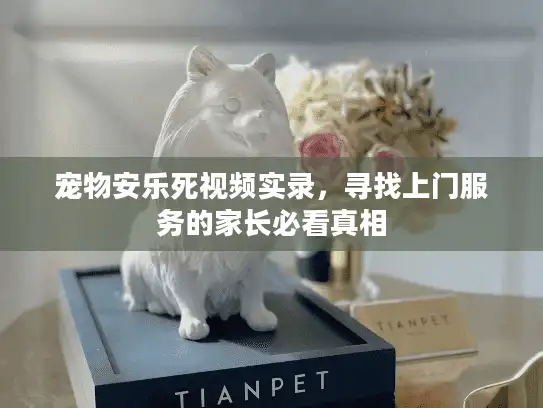 宠物安乐死视频实录，寻找上门服务的家长必看真相