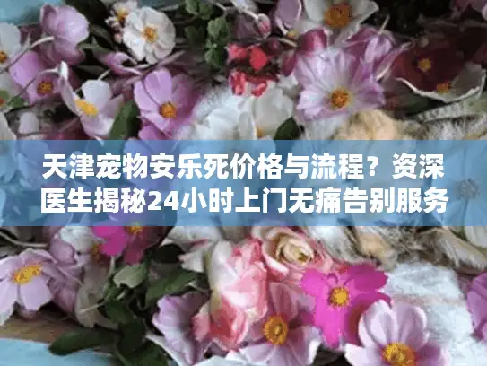天津宠物安乐死价格与流程？资深医生揭秘24小时上门无痛告别服务