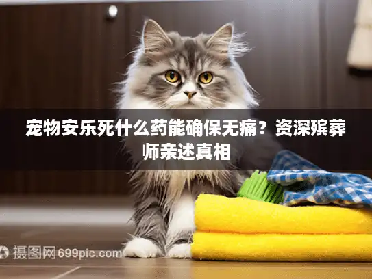 宠物安乐死什么药能确保无痛？资深殡葬师亲述真相