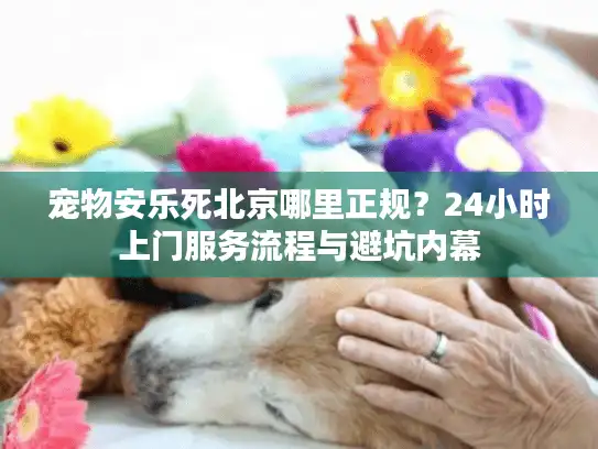 宠物安乐死北京哪里正规？24小时上门服务流程与避坑内幕