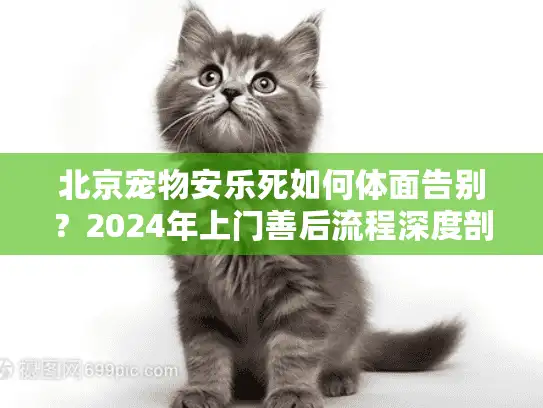 北京宠物安乐死如何体面告别？2024年上门善后流程深度剖析