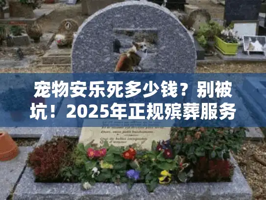 宠物安乐死多少钱？别被坑！2025年正规殡葬服务报价清单