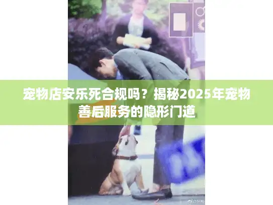 宠物店安乐死合规吗？揭秘2025年宠物善后服务的隐形门道