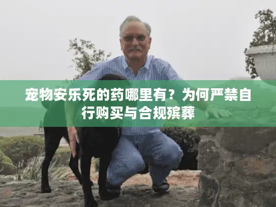 宠物安乐死的药哪里有？为何严禁自行购买与合规殡葬