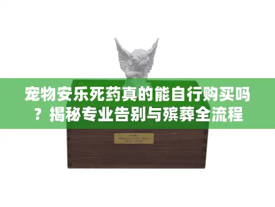 宠物安乐死药真的能自行购买吗？揭秘专业告别与殡葬全流程