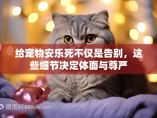 给宠物安乐死不仅是告别，这些细节决定体面与尊严