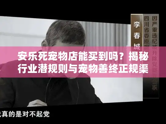 安乐死宠物店能买到吗？揭秘行业潜规则与宠物善终正规渠道