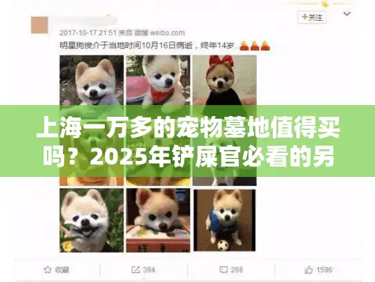 上海一万多的宠物墓地值得买吗？2025年铲屎官必看的另类方案解析